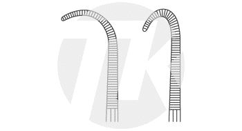 tk_12351-19_NA