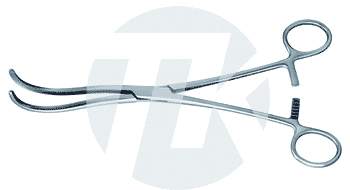 tk_12375-23_M2