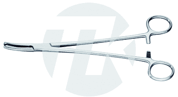 tk_12410-22_M2