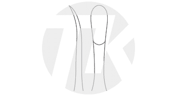 tk_24504-15_M1_NA