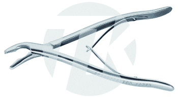 tk_24610-21_M2