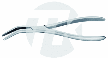 tk_24701-23_M2