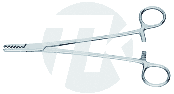tk_24712-19_M2