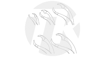 tk_24733-15_NA
