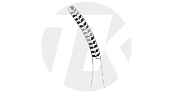 tk_24738-16_M2_NA