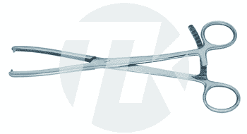 tk_24749-21_M2