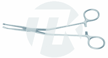 tk_29111-19_M2