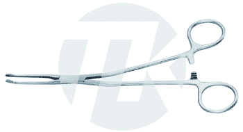 tk_29112-19_M2