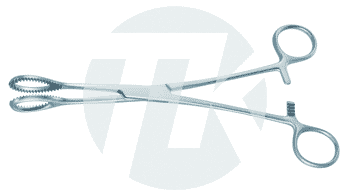 tk_29115-21_M2