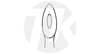 tk_51147-12_M2_NA