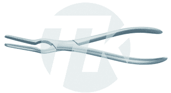 tk_51697-23_M2