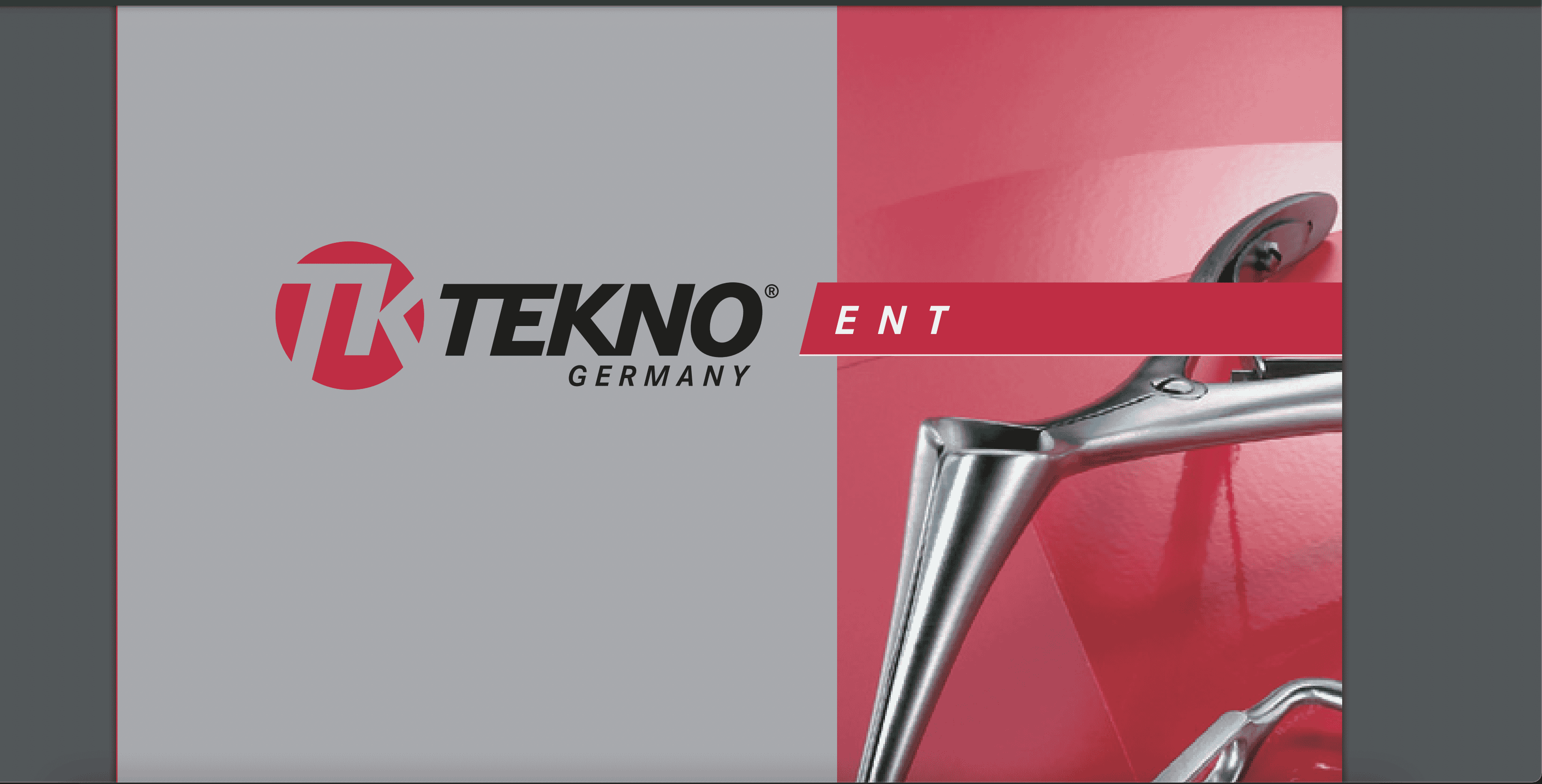 tekno-ent.png?w=1024&h=521&scale