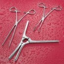 stomach-intestine-image-small