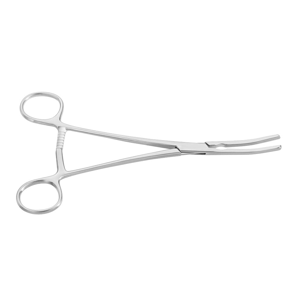 08-0271-0-1647968042