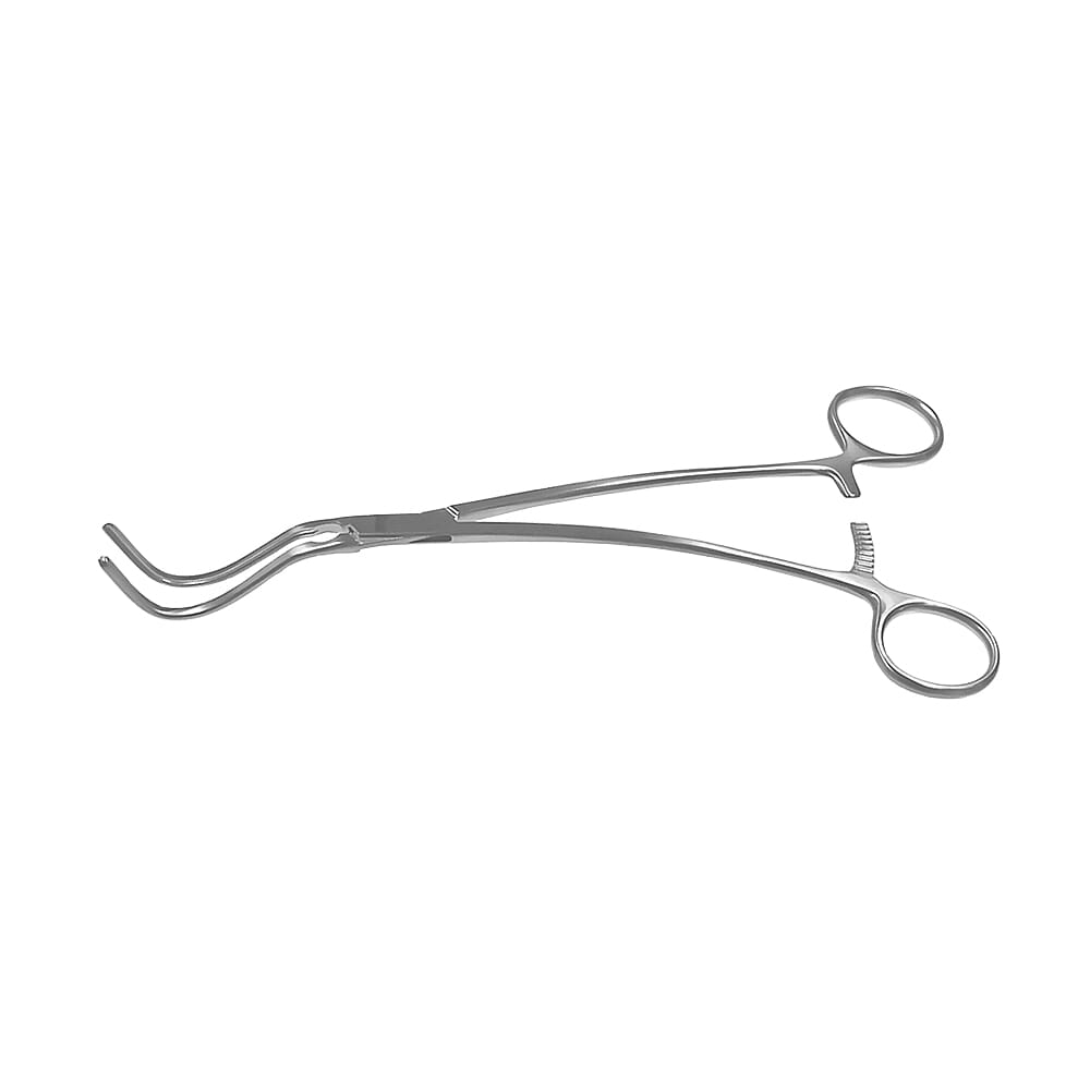 22-0402-0-1647963261