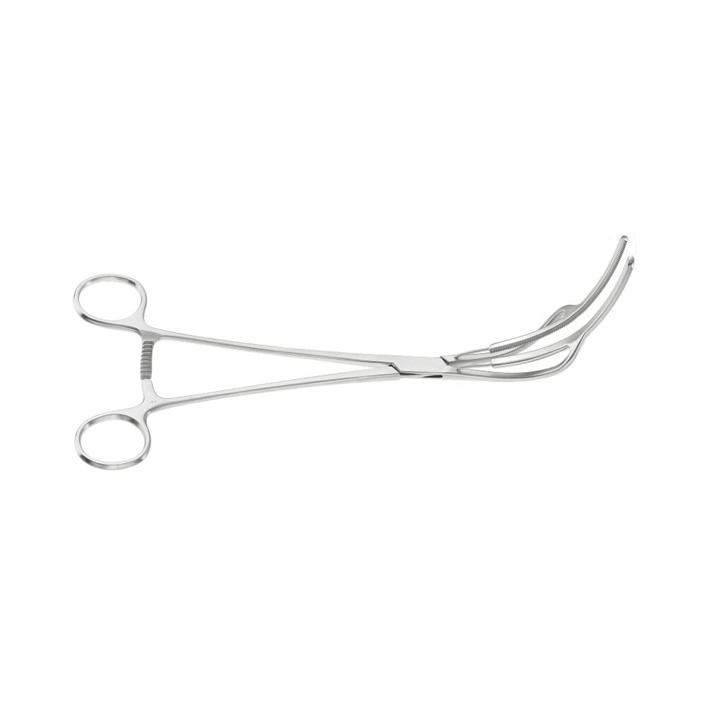 22-1813-0-1647962691