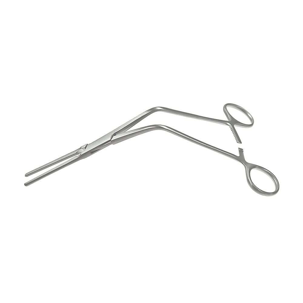 22-0131.60-0-1647963652