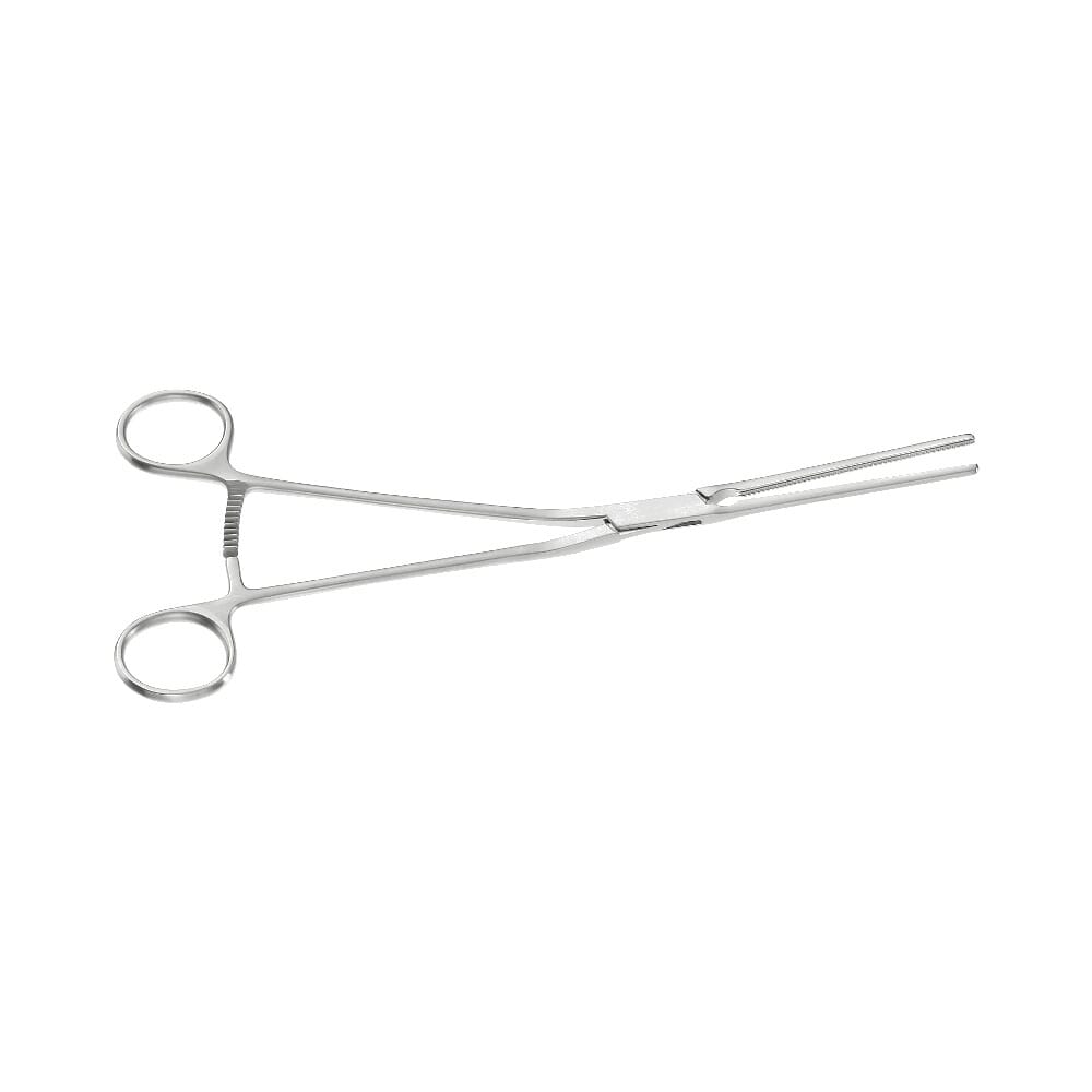 22-0137-0-1647963642