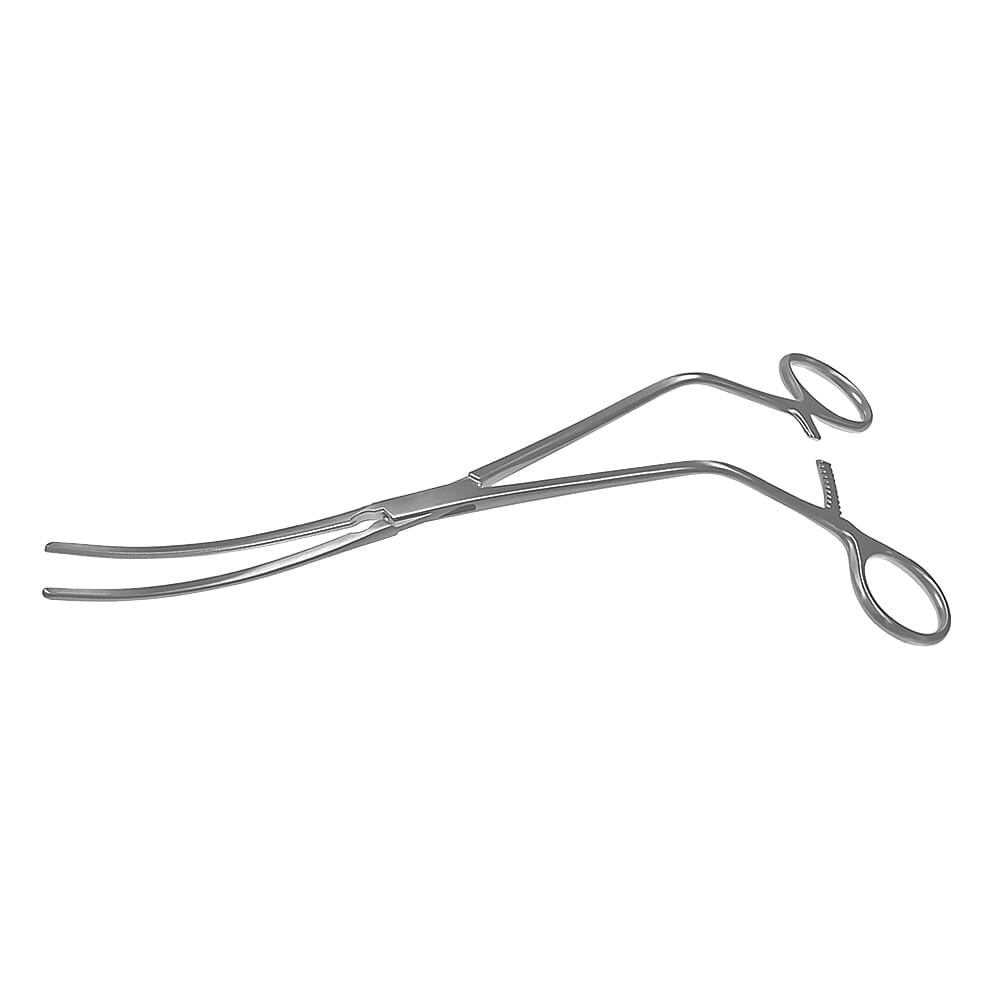 22-0441-0-1647963212