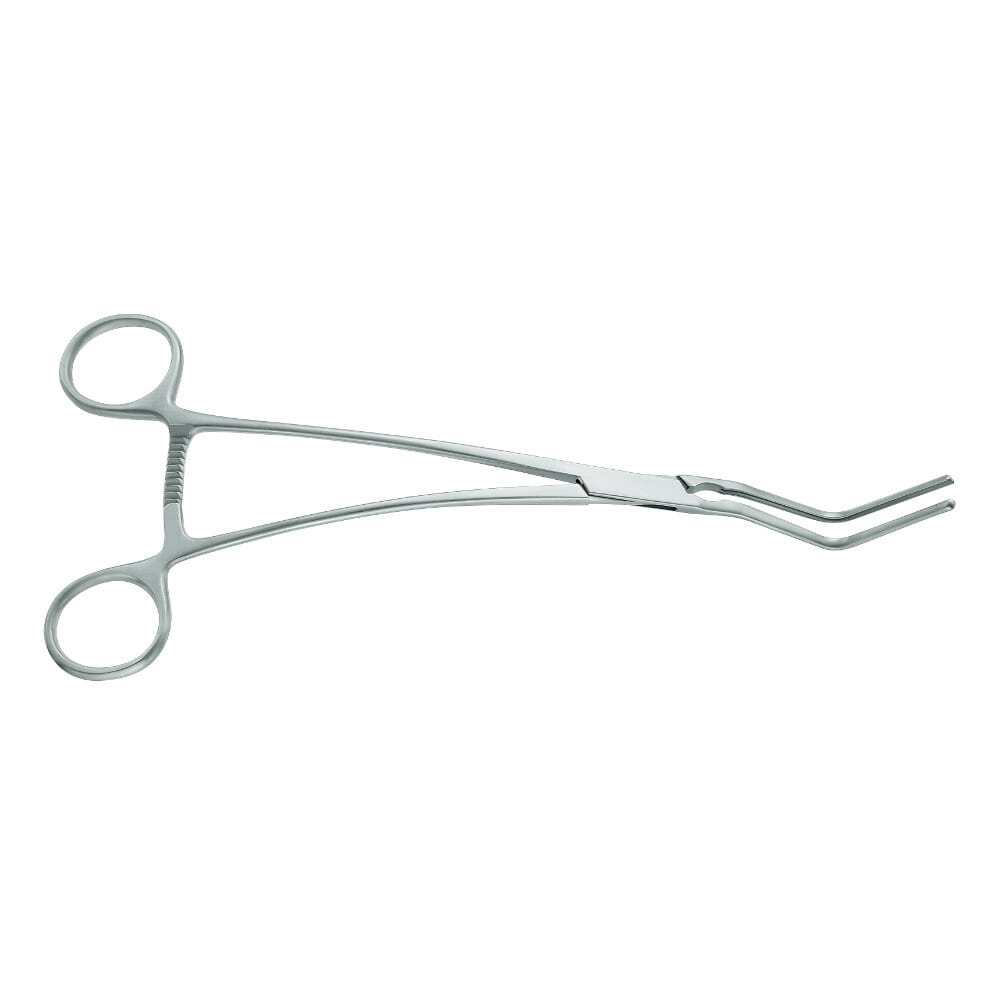 22-0051-0-1647963694