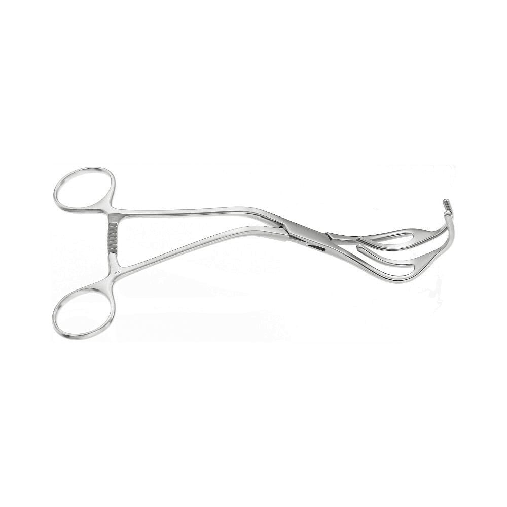 22-1806-0-1647962684