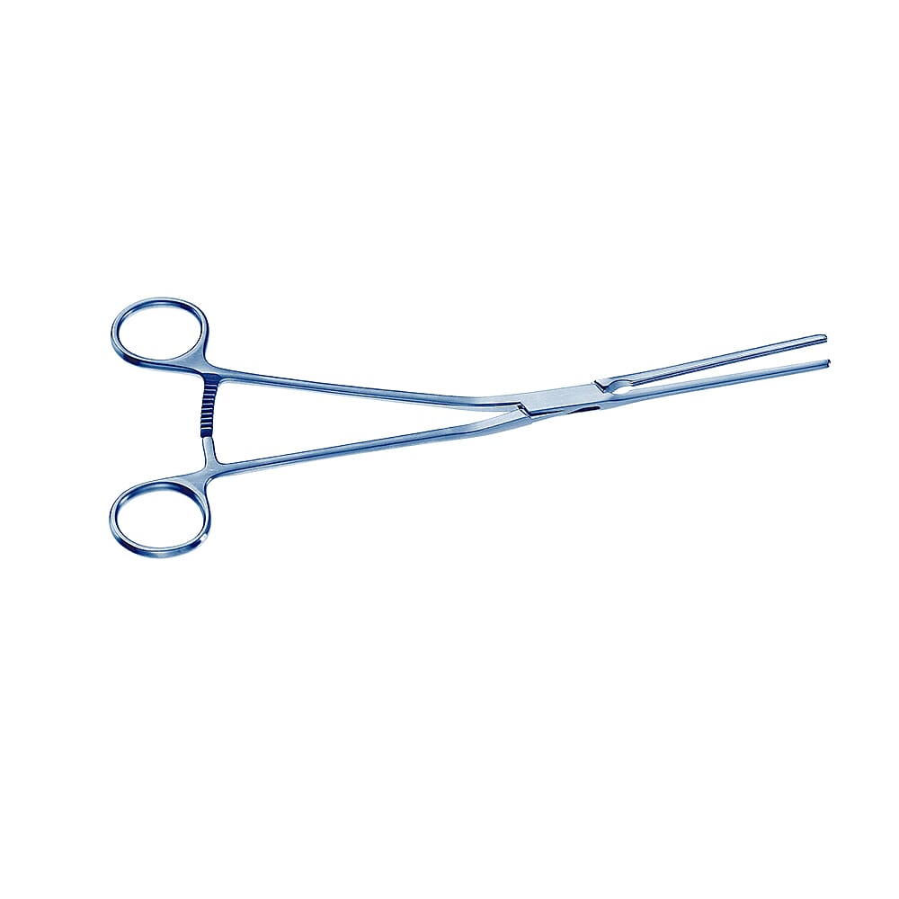 22-0137.TI-0-1647963645