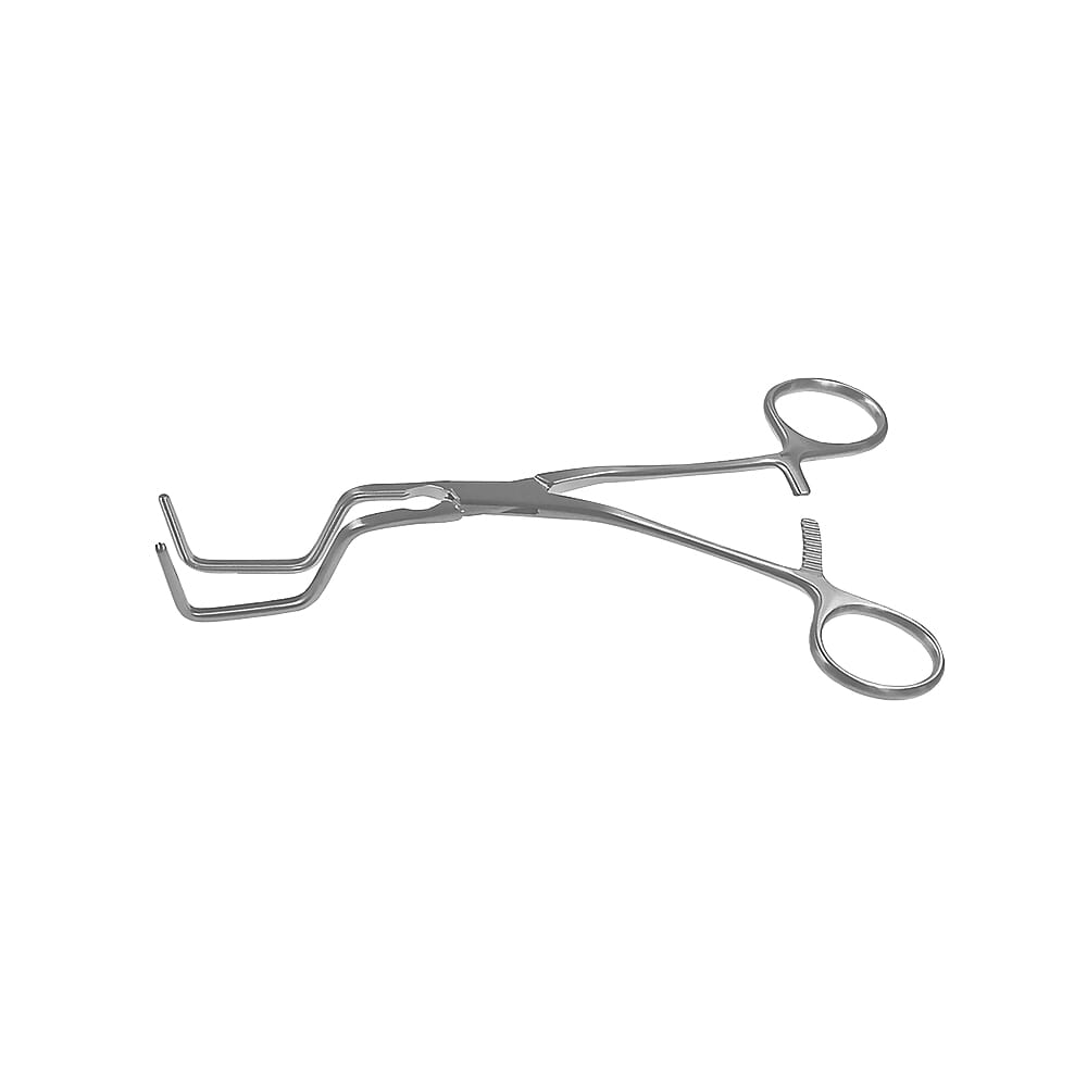 22-0410-0-1647963245