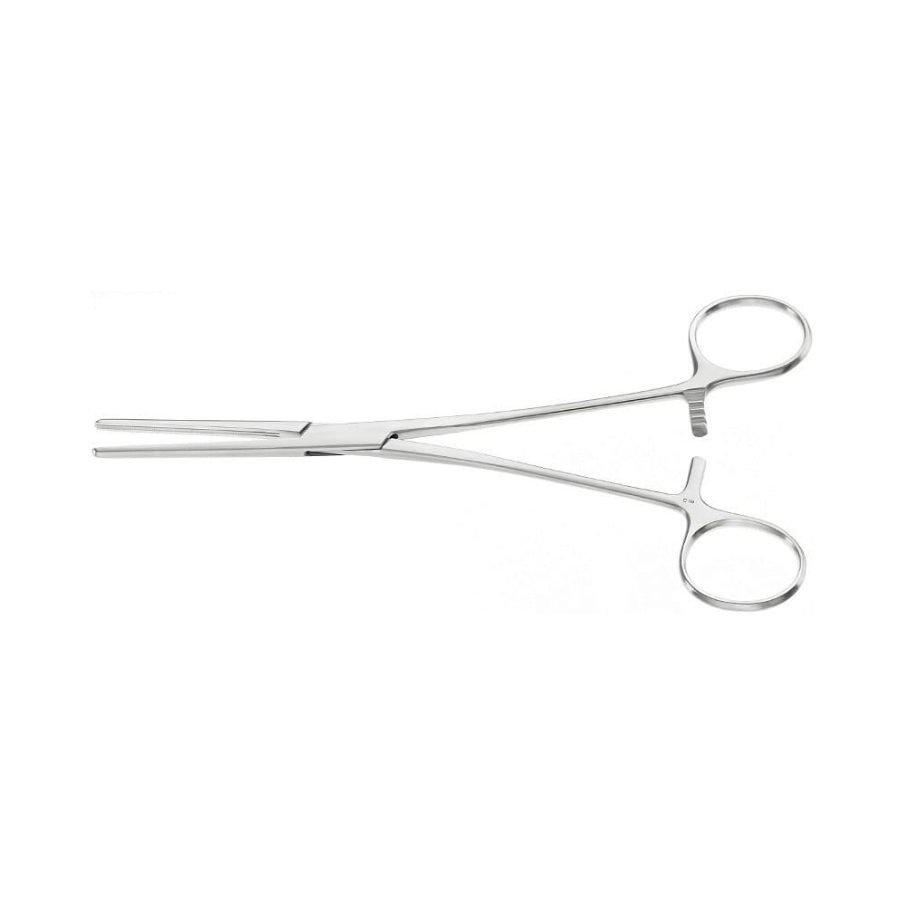 22-1241-0-1647962735