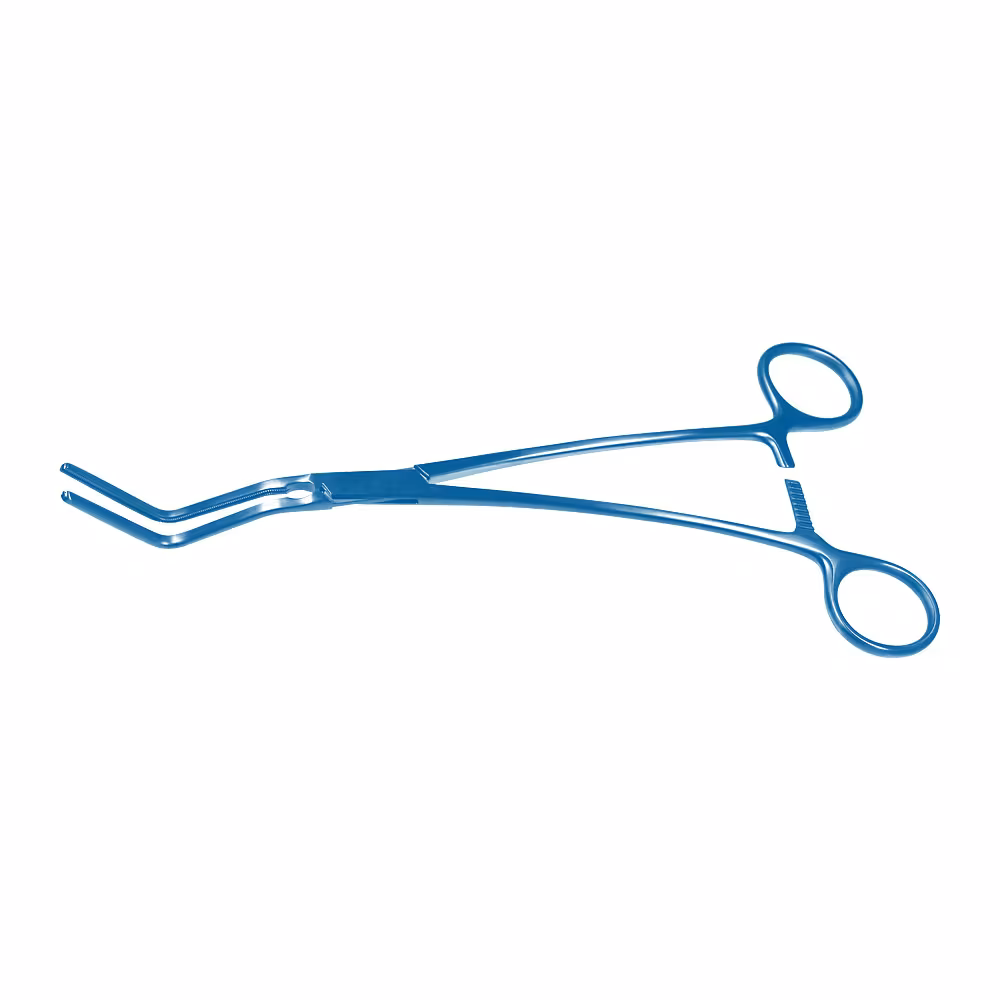 22-0050.TI-0-1647963706