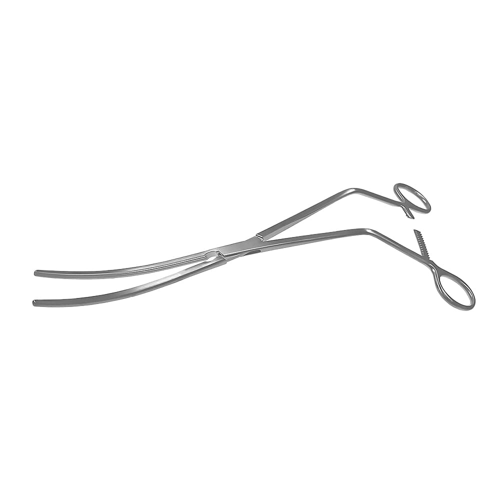 22-0442-0-1647963216