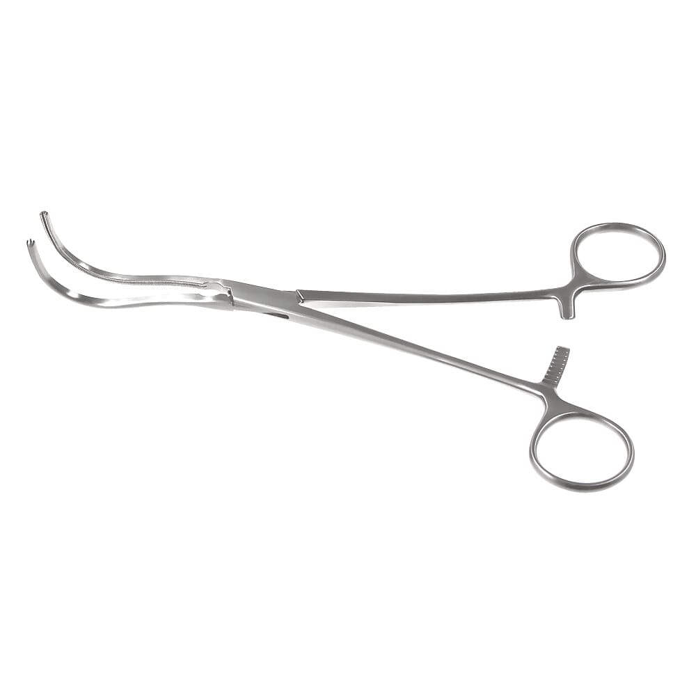 22-0556-0-1647963136