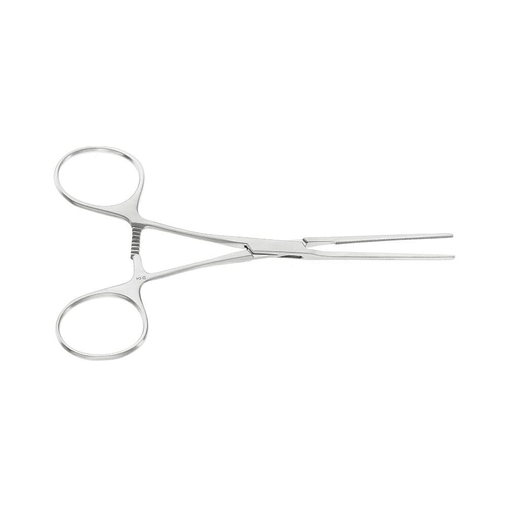 23-0054-0-1647962492