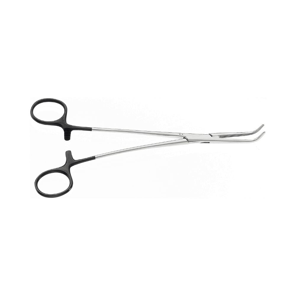 25-0262-0-1647960935