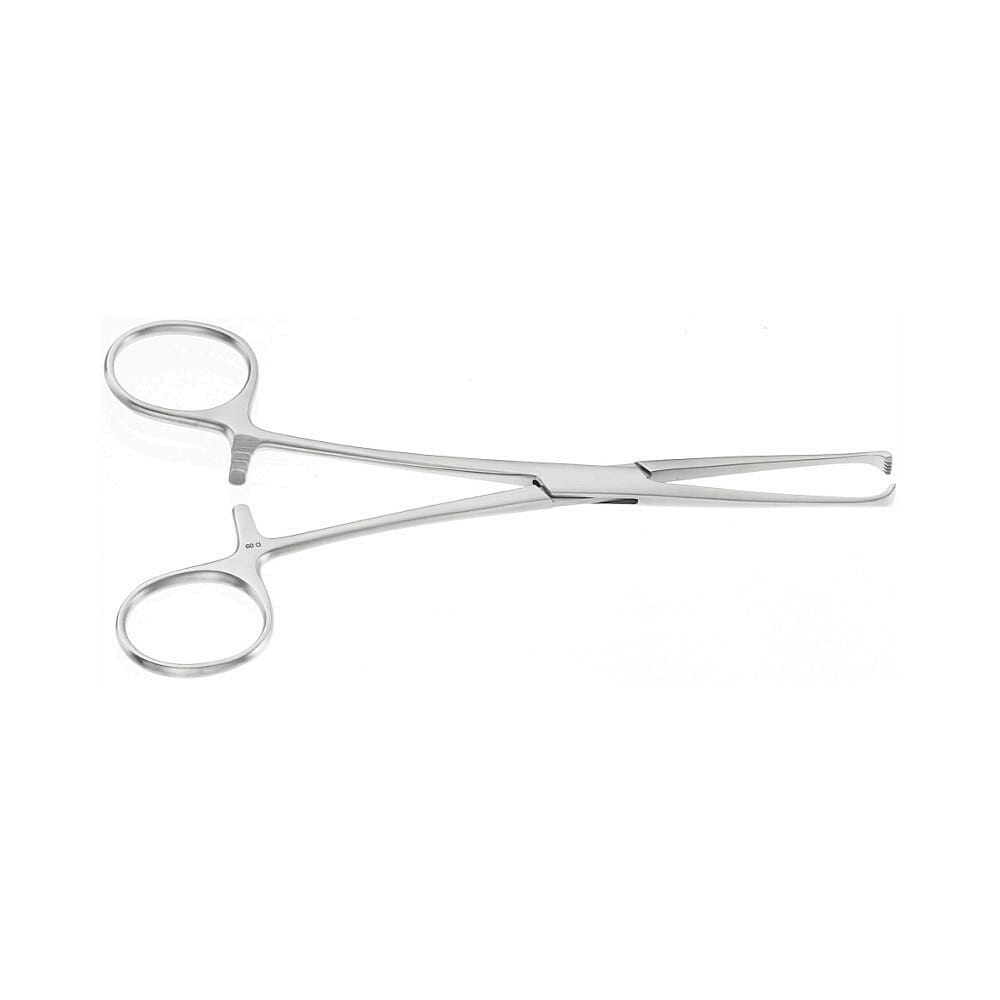 25-2063-0-1647960459