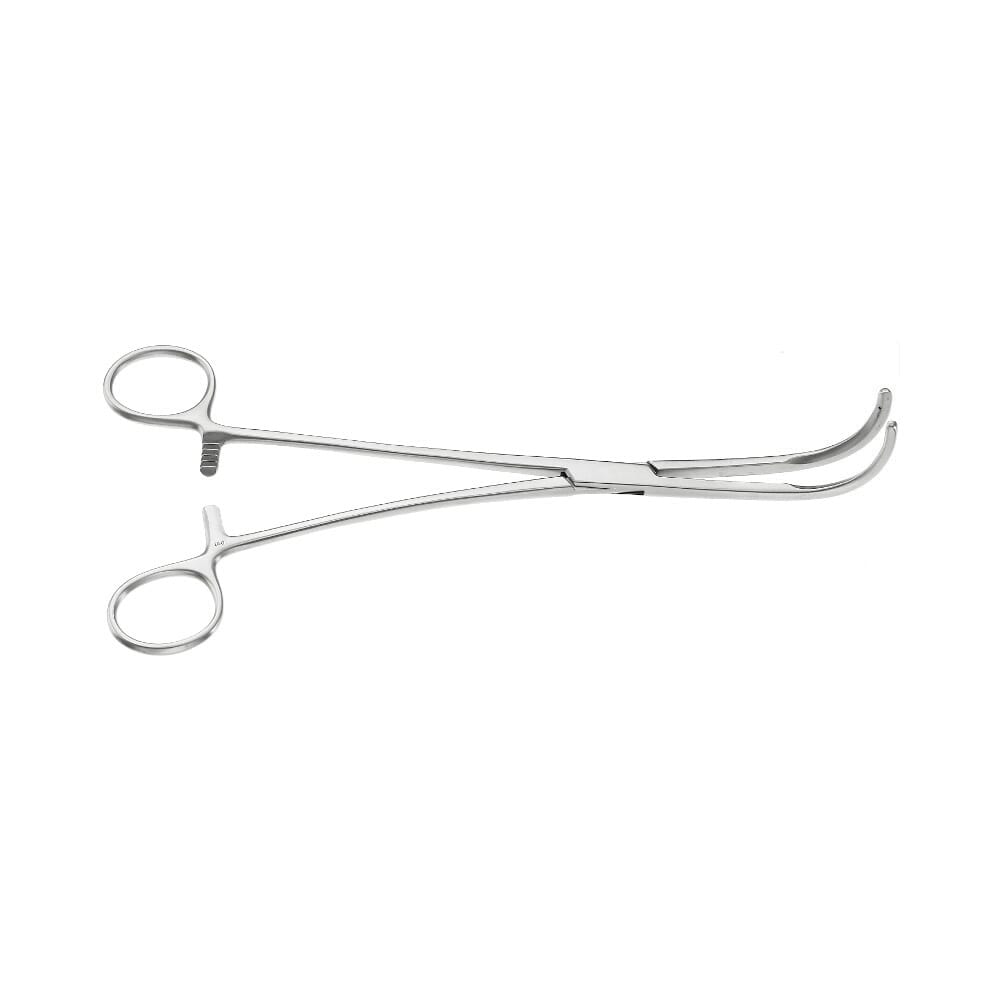 25-2123-0-1647960419